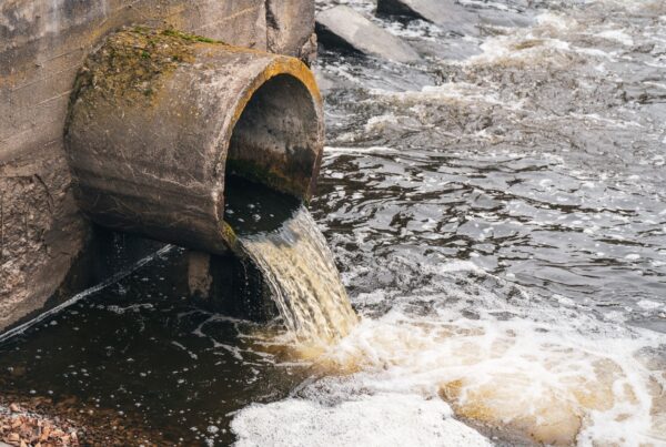 Sewage
